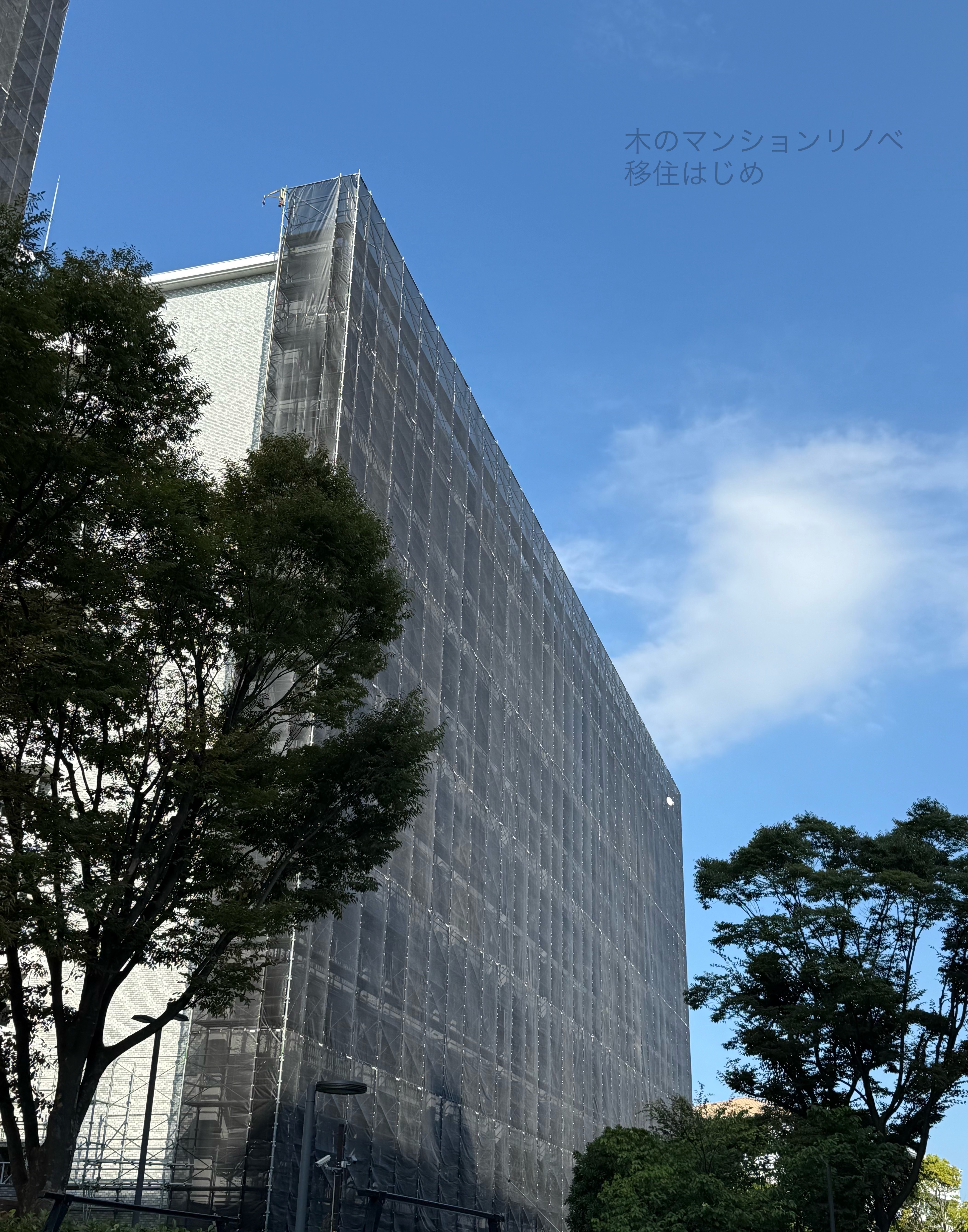 木のマンションリノベ34